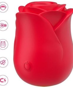 2in1 Rose Toy Red