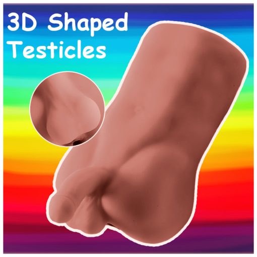 Shemale Sex pocket pussy with Torso and Realistic Dildo