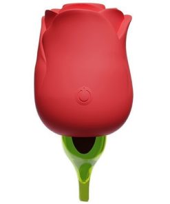 2in1 Rose Toy Red