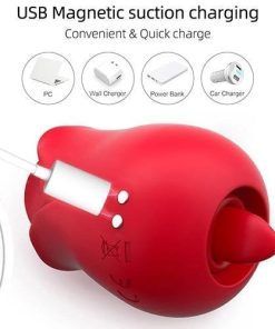 2in1 Rose Toy Red