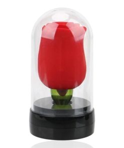 2in1 Rose Toy Red