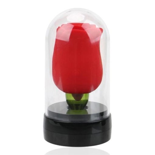 2in1 Rose Toy Red